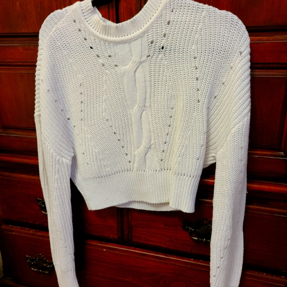 Cropped Frank and Oak Sweater